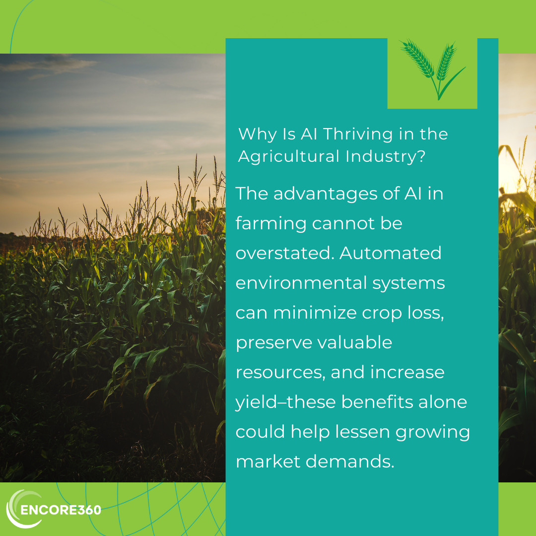 Why AI Is Thriving in Agriculture